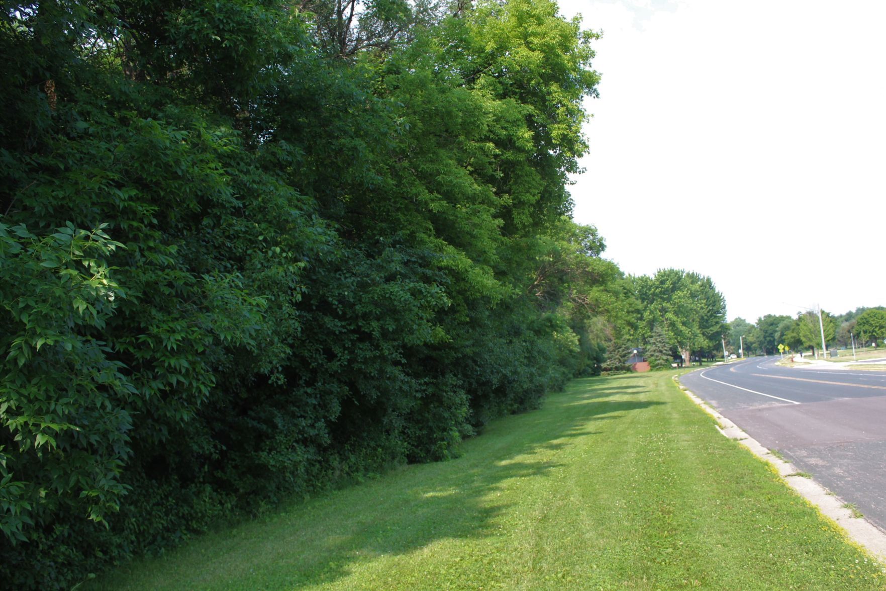 Paulson development 1